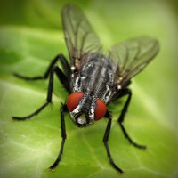 /album/feredbeteb/photolia-a01-jpg/