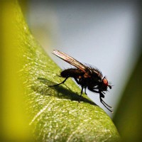 /album/feredbeteb/photolia-a04-jpg/