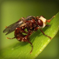 /album/feredbeteb/photolia-a06-jpg/