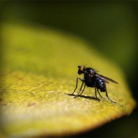 /album/feredbeteb/photolia-a07-jpg/